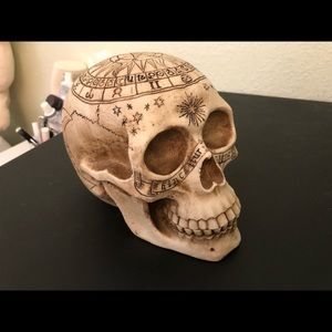 Skull (new)